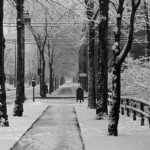 Black and white photograph of a snow covered street lined with trees, people walking in the distance